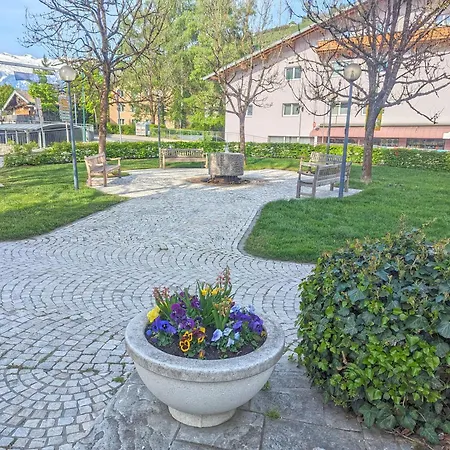 Zellamsee Aktiv * Zell am See