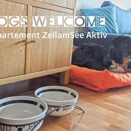 Zellamsee Aktiv * Zell am See