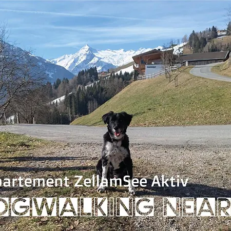アパート Zellamsee Aktiv ツェル アム ゼー