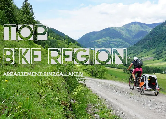 Zellamsee Aktiv アパート *