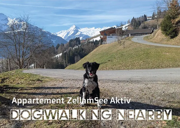 Апартаменты Zellamsee Aktiv Целль-ам-Зе
